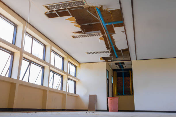 Best Professional water damage repair  in Jensen Beach, FL