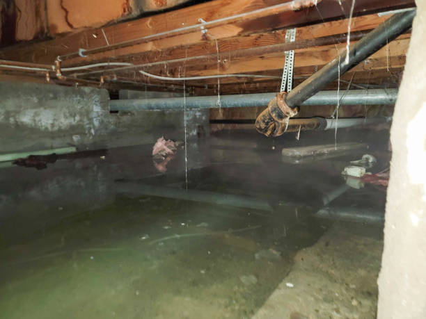 Best Water damage restoration near me  in Jensen Beach, FL