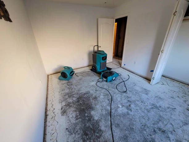 Best Sewage cleanup and water damage restoration  in Jensen Beach, FL