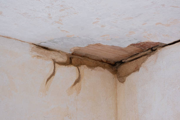 Best Water damage contractors near me  in Jensen Beach, FL