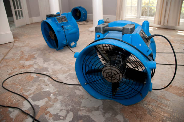 Best Water damage repair service  in Jensen Beach, FL