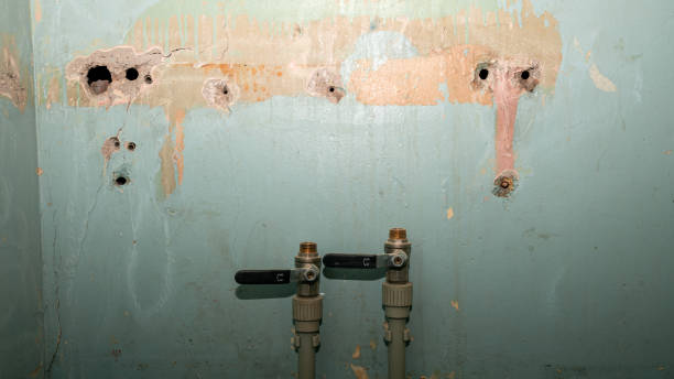 Best Residential water damage restoration  in Jensen Beach, FL