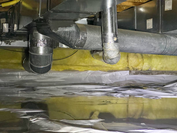 Best Carpet water damage restoration  in Jensen Beach, FL