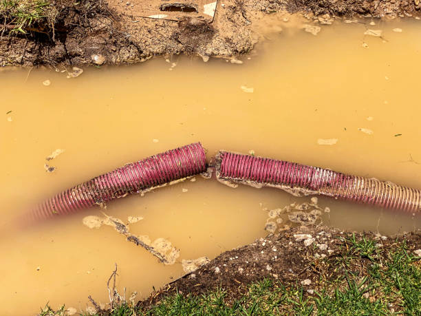  Jensen Beach, FL Water damage restoration Pros